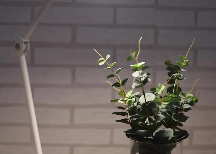 Canteras +3bed +2bath +wifi Apartmán