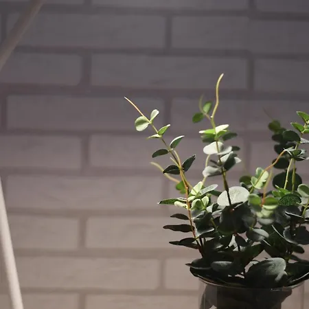 Canteras +3bed +2bath +wifi شقة